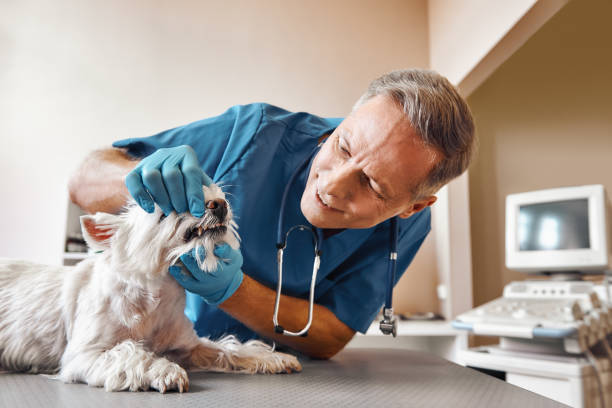 Best Emergency Root Canal Treatment in Weatherly, PA